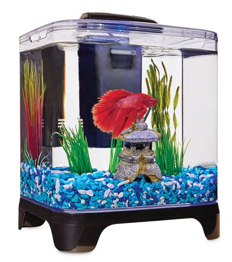 Beta fish tank with filter - A betta tank of around 5-20 gallons will need a water change once every week to ten days, although some may be able to go up to two weeks before needing a partial water change. In this size tank, you may have a filter that will help to keep the water clean for longer without needing as many changes.